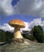 Mighty Mushroom